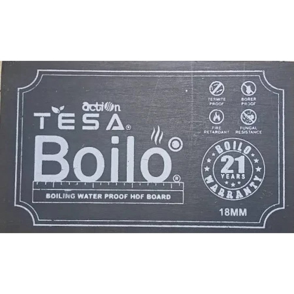 Action Tesa Boilo