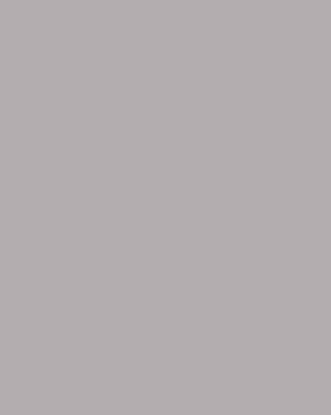 Century Prowud Prelam Particle Board - 222 - Silver Grey