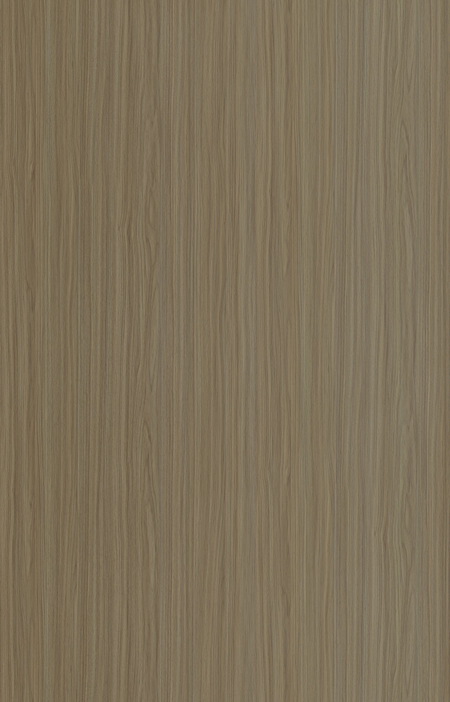 Designtree 1mm Thermolaminate - Dtw 24 - 241 - Gordon Castle St03