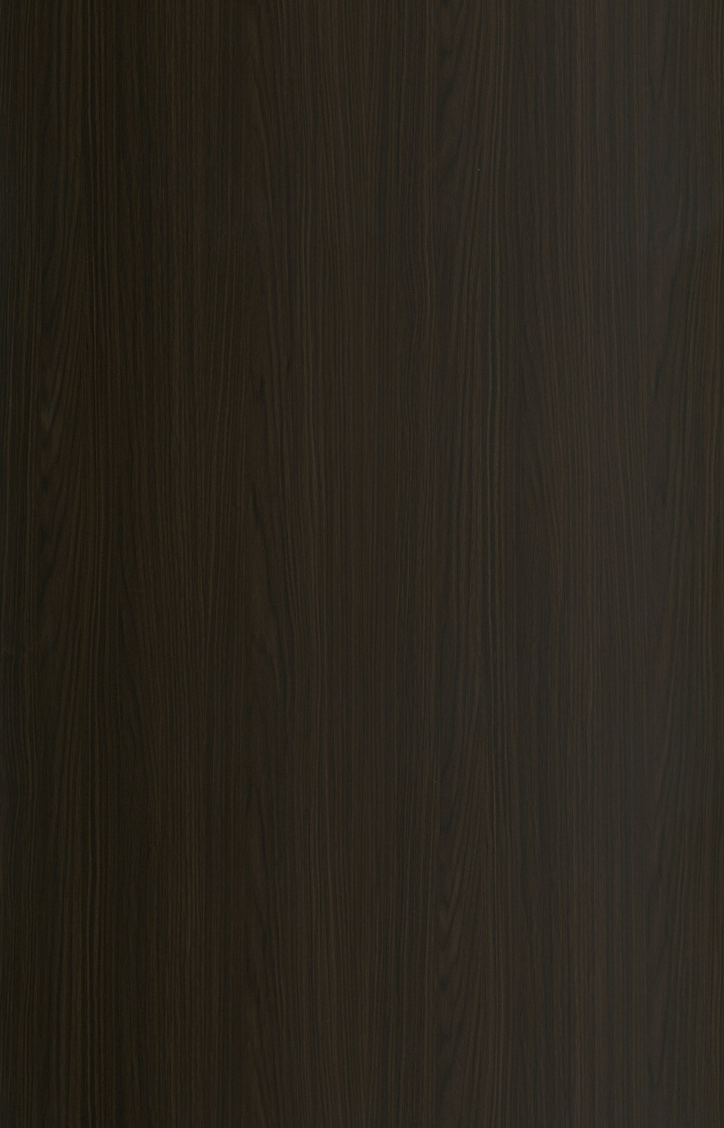 Designtree 1mm Thermolaminate - Dtw 24 - 252 - Hawot Horn St03
