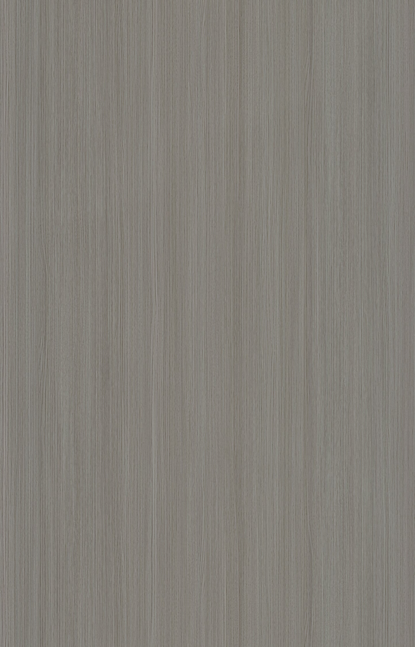 Designtree 1mm Thermolaminate - Dtw 24 - 263 - Tinnis Oak St18