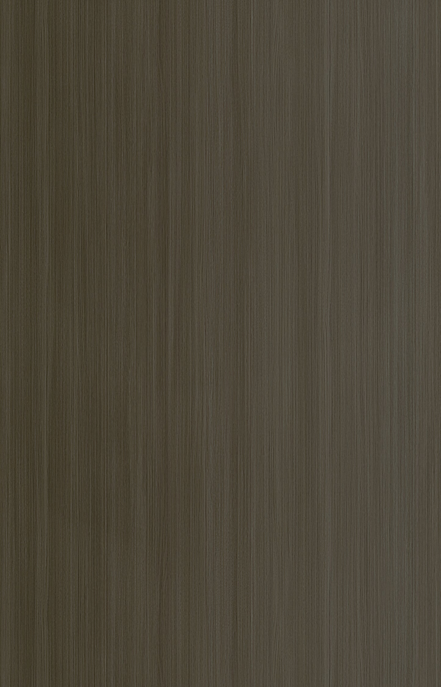 Designtree 1mm Thermolaminate - Dtw 24 - 264 - Tinnis Oak St18