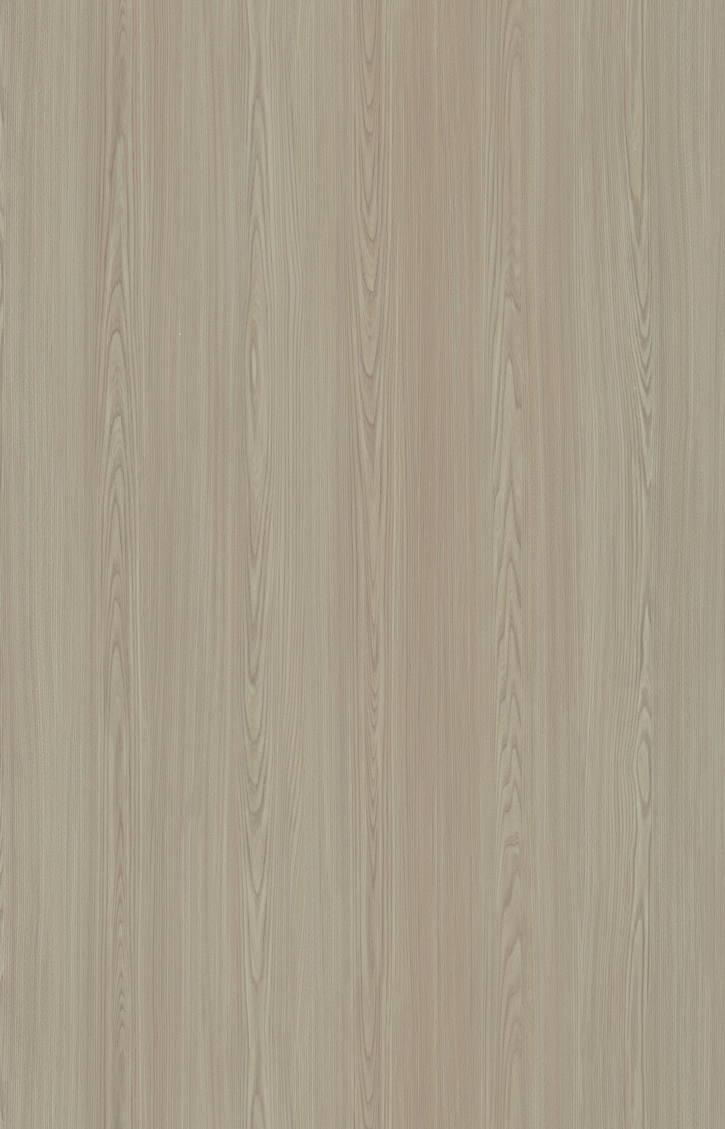 Designtree 1mm Thermolaminate - Dtw 24 - 272 - Birnam Oak St03