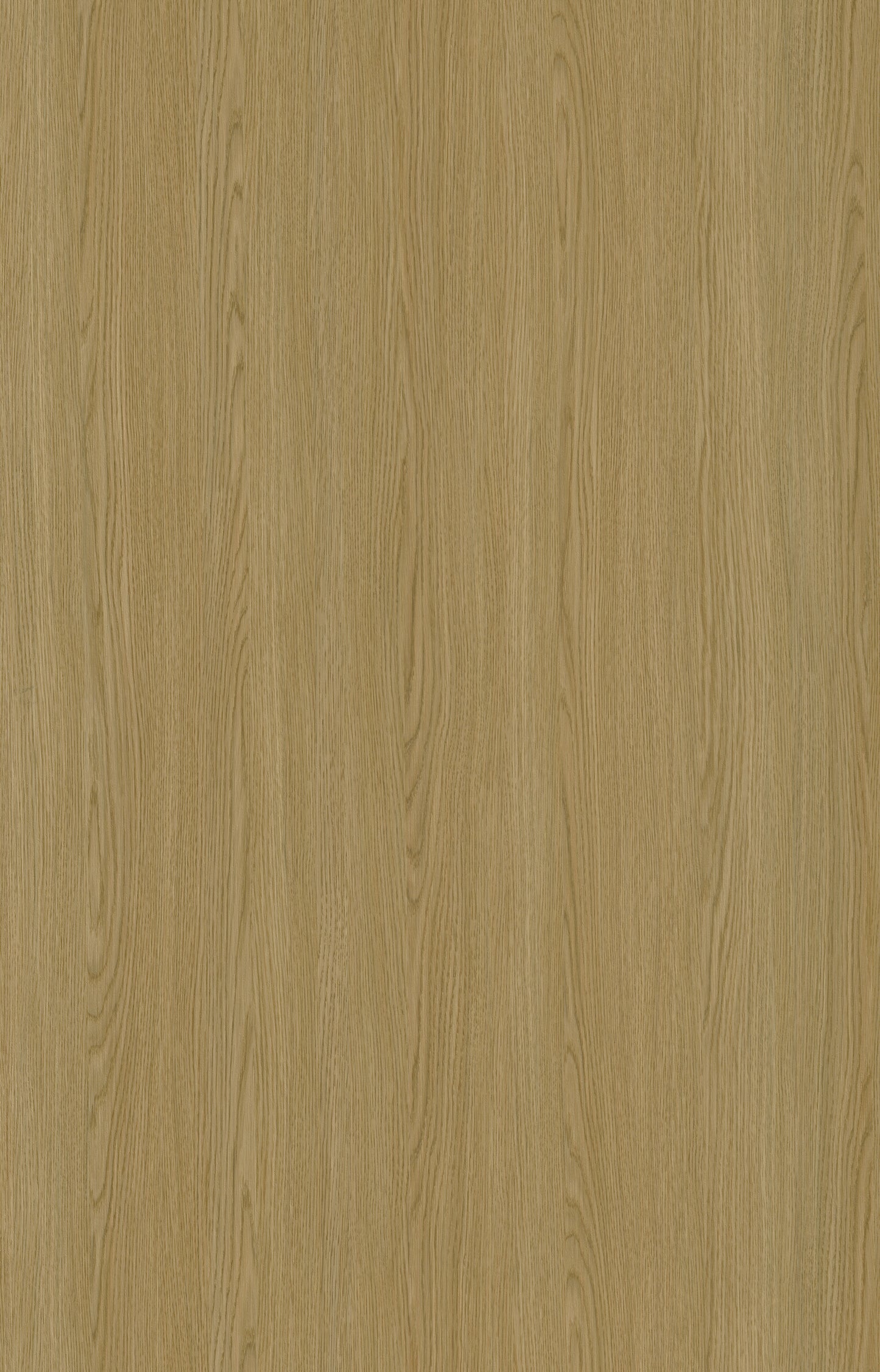 Designtree 1mm Thermolaminate - Dtw 24 - 281 - Lace Wood Sto2