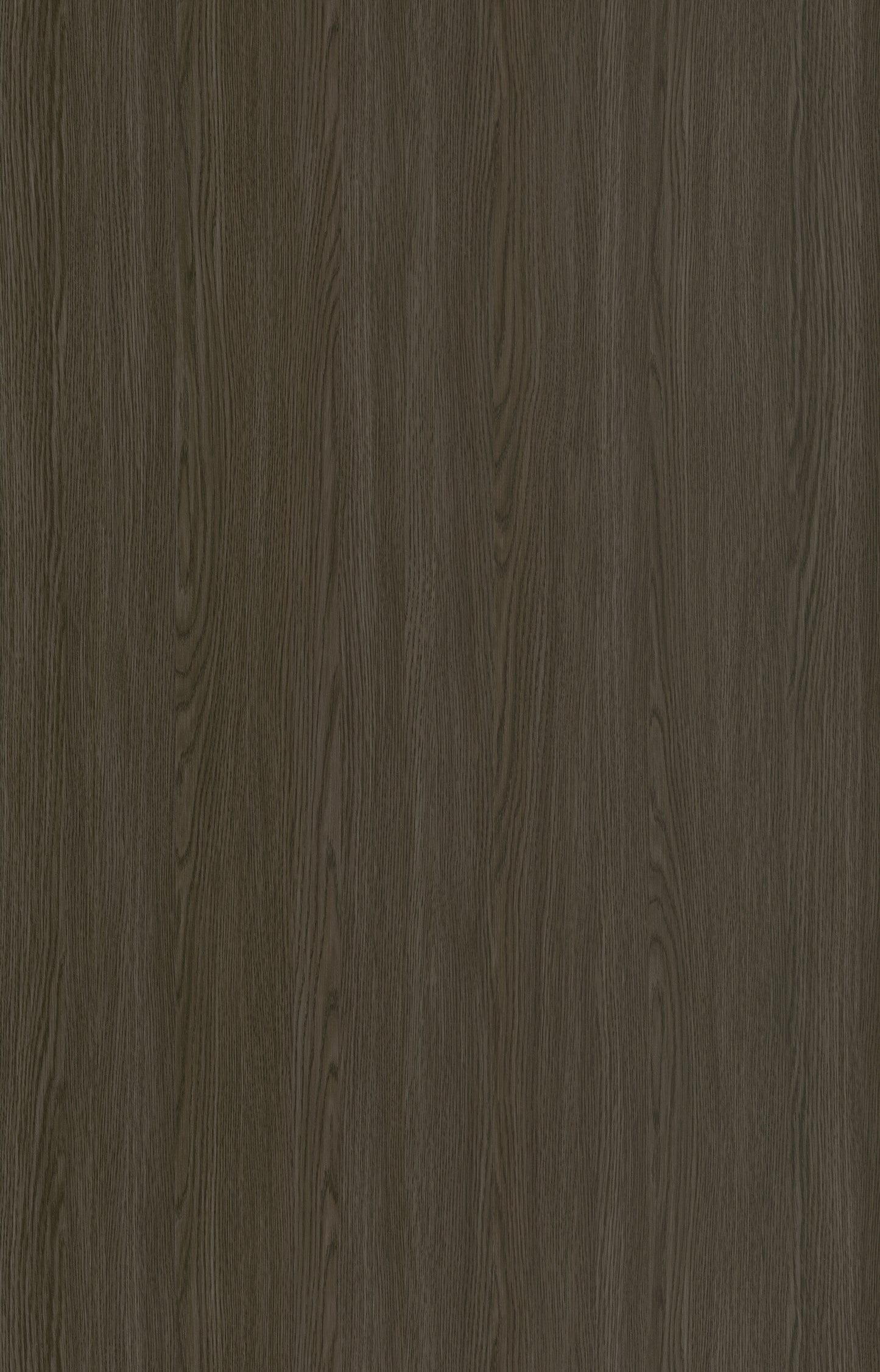 Designtree 1mm Thermolaminate - Dtw 24 - 284 - Lace Wood Sto2
