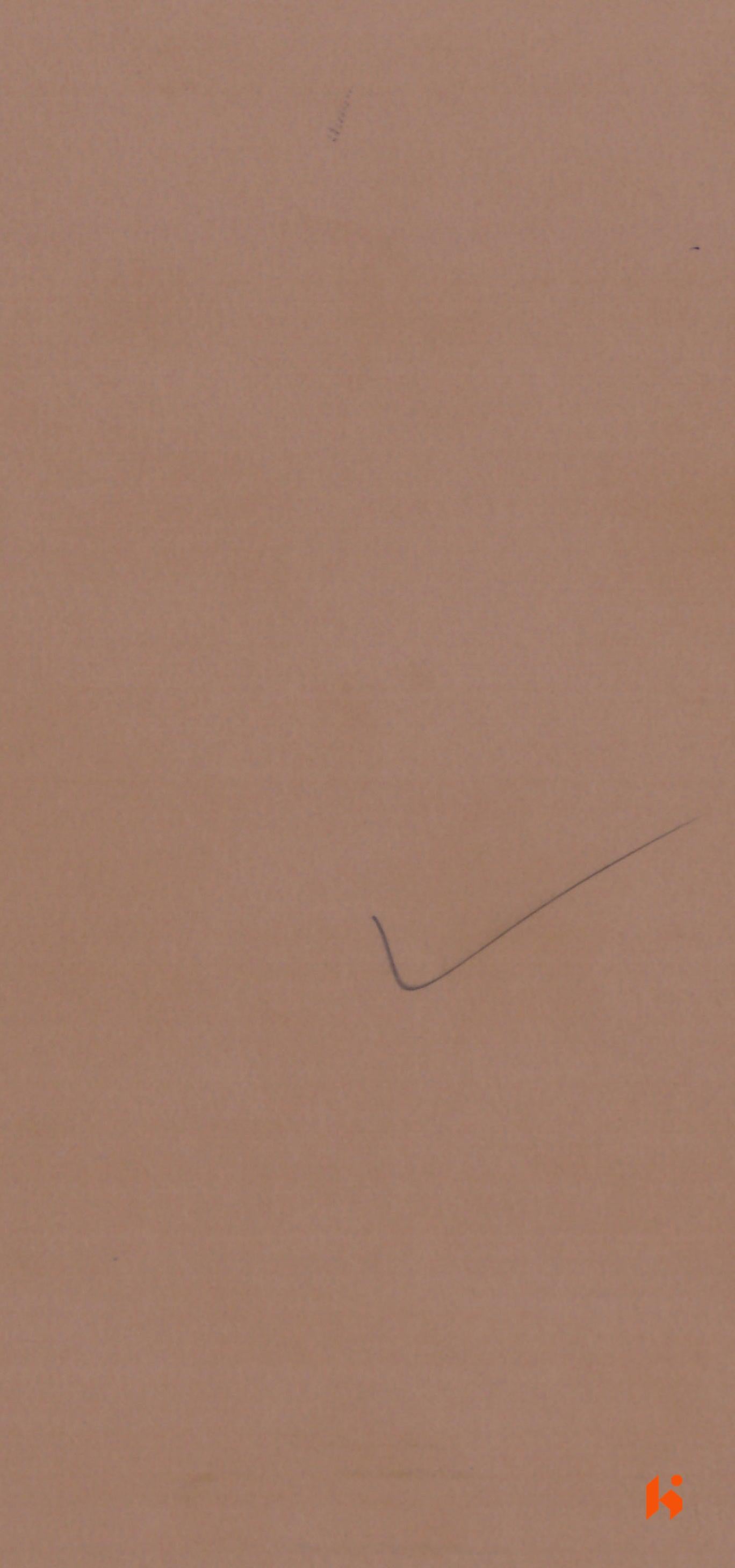 Saket Laminates - 443 - Swiss Coffee