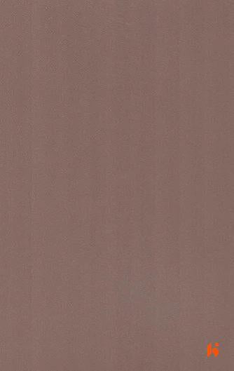 Saket Laminates - 453 - Mocaccino