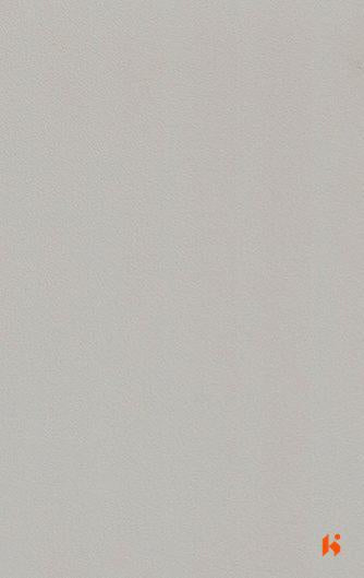 Saket Laminates - 463 - Aluminium Grey