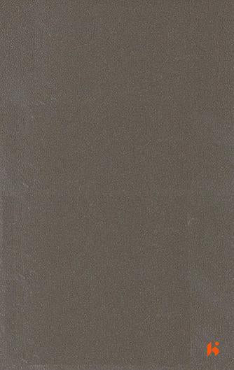 Saket Laminates - 489 - Pine Nut