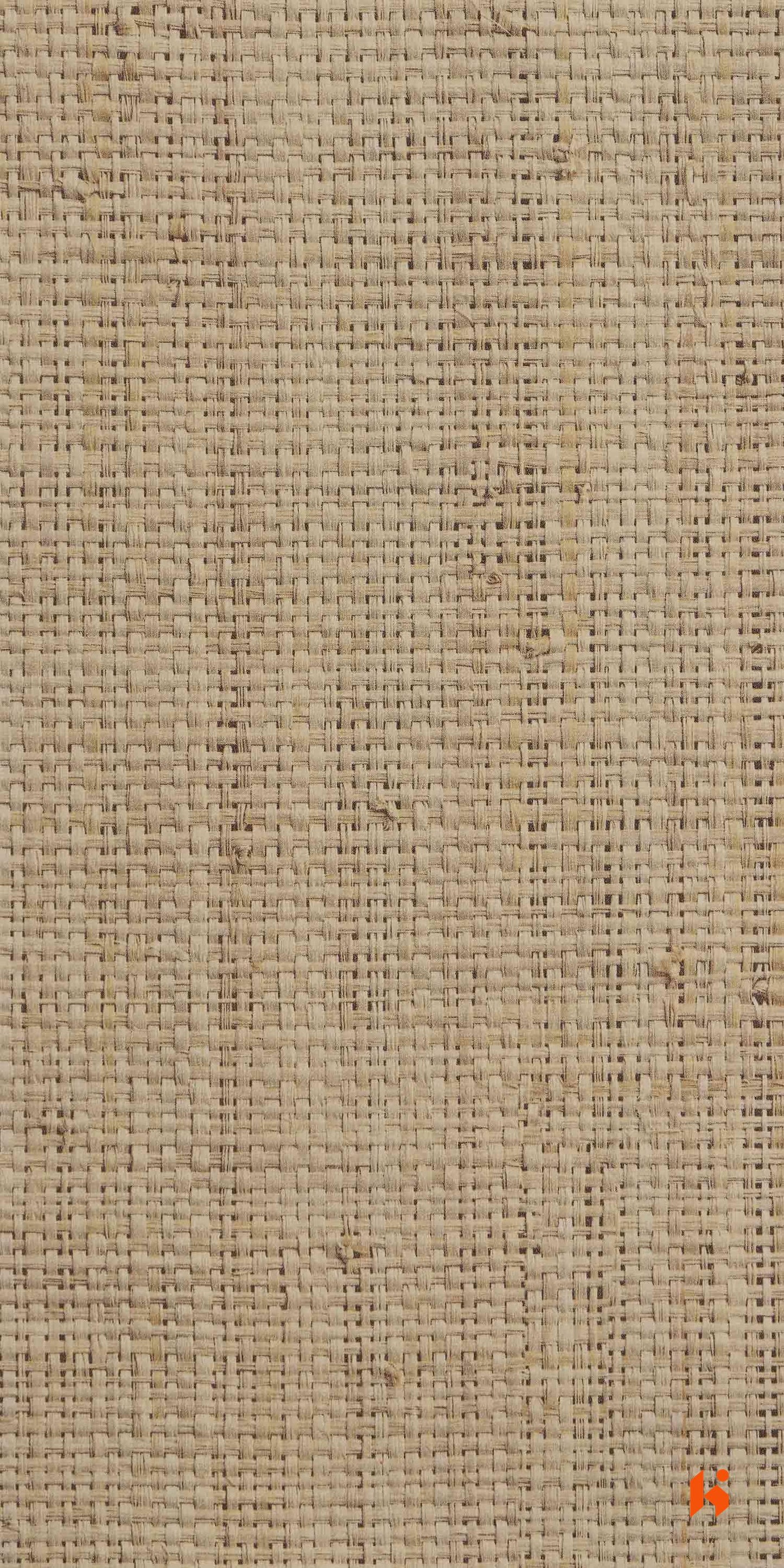 Century Laminates - 5828 - Rafia