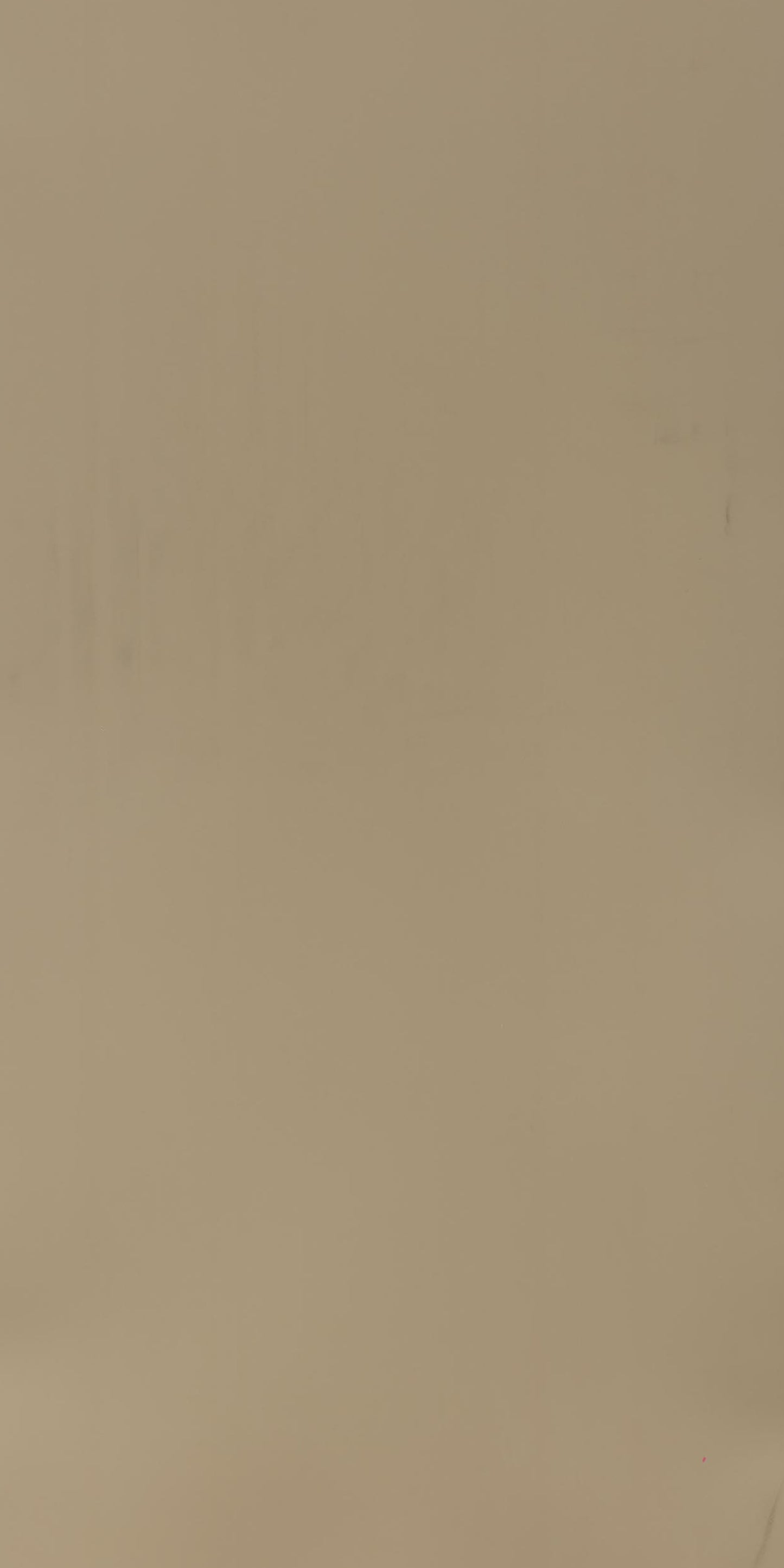 Century 0.8mm Laminate 80167 Ornate Beige