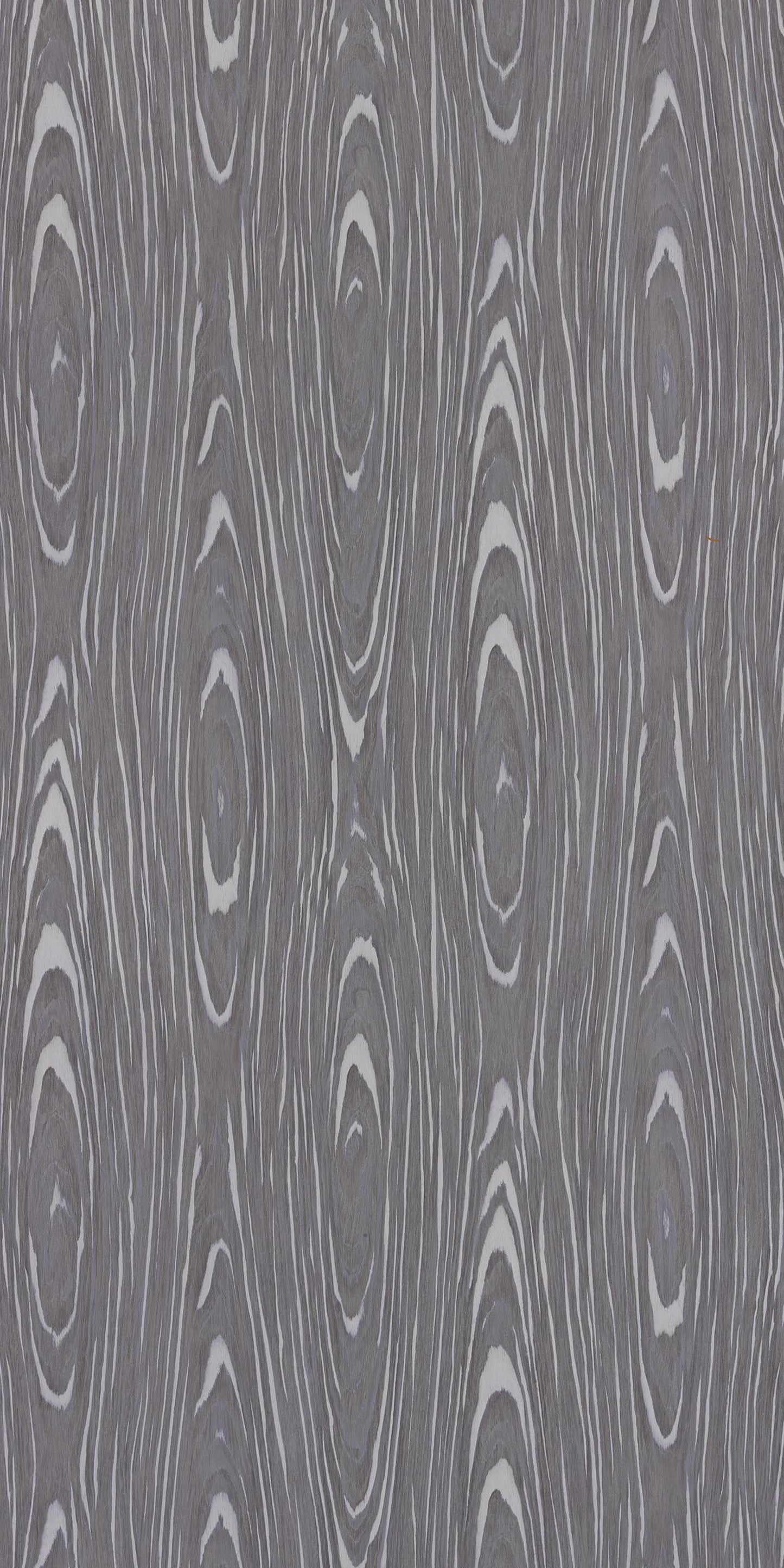 Century 0.8mm Laminate 83456 Asche Radisa