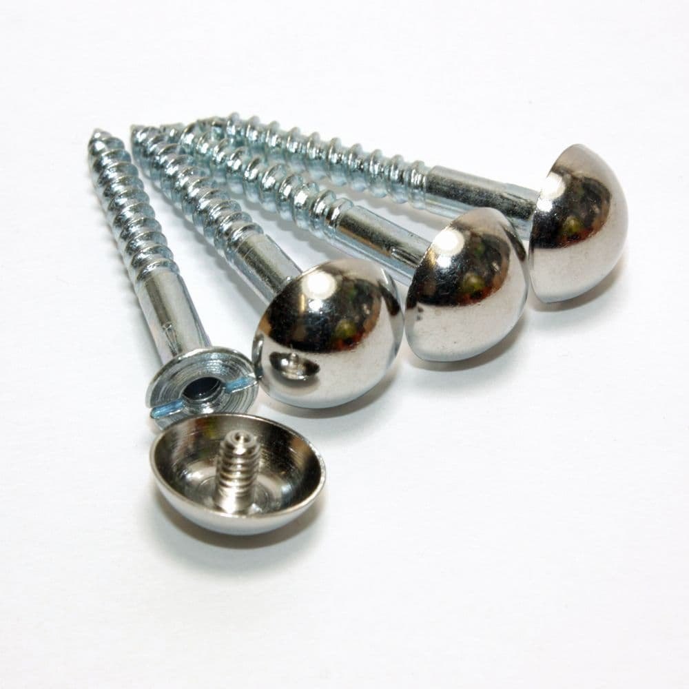 Mirror Screw (Per Piece)