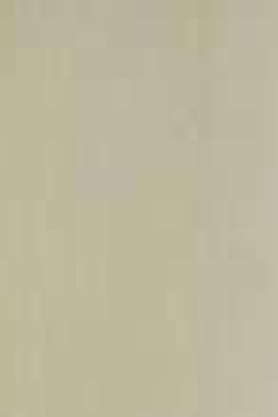 Dorby Laminates-1803-Highland Pine-1mm 8ft x 4ft