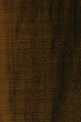 Virgo Mica-9910-Santos Cate