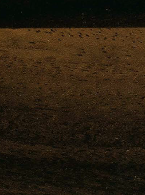 Virgo Mica - 5416 - Satin Walnut