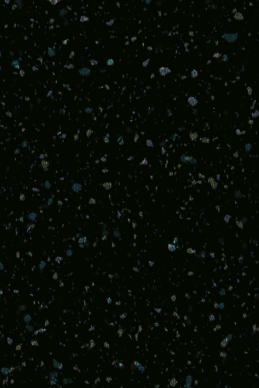 Virgo Mica - 6330 - Black Pepper