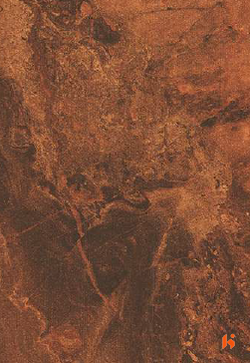 Virgo Croma Plus 0.8 laminates - 2255 - Tan Fossil Marble