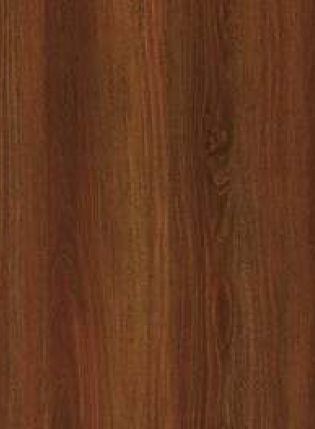 Virgo Vogue 0.8mm-2885-Bianca Roselba