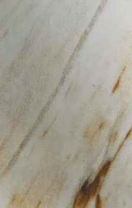 Virgo Vogue 0.8mm-3131-Harmonic Flair