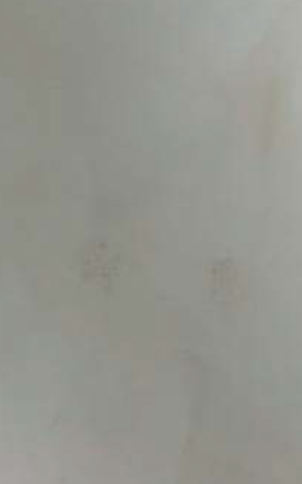 Virgo Vogue 0.8mm-3133-Aurora Bianca