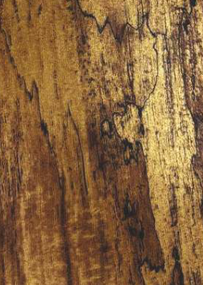 Virgo Vogue 0.8mm-3147-Opal Luminescence