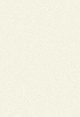 Virgo Mica-1801-Pearl White