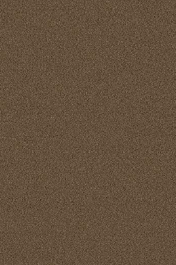 Virgo Mica-1805-Stomy Glacier