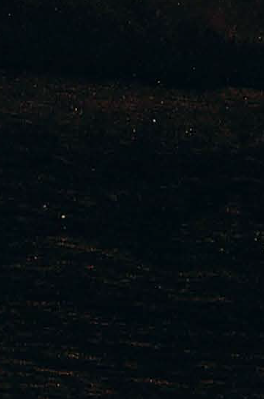 Virgo Mica-5391-Zari Kota