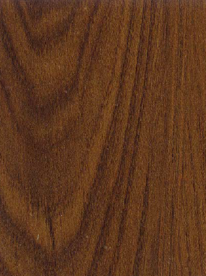 Virgo Mica-6339-Shimash