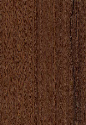 Virgo Mica-6514-Cariz Walnut