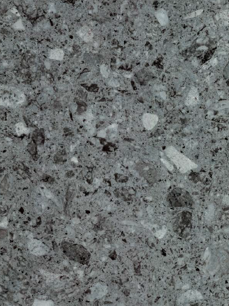 Virgo Mica-6895-Bristo