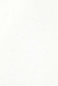 Virgo Mica-6991-Misty White