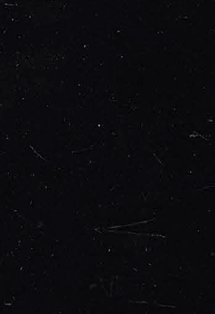 Virgo Mica-6992-Misty Black