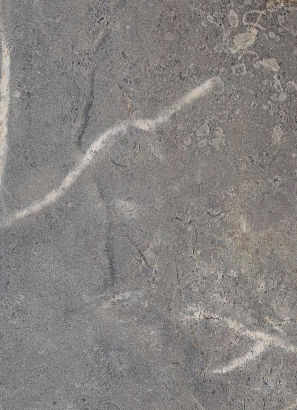 Virgo Mica-6994-Exotic Marble
