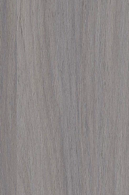 Virgo Mica-9832-Optima Light