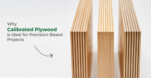Why Is Calibrated Plywood Gaining Popularity in Modern Interiors?