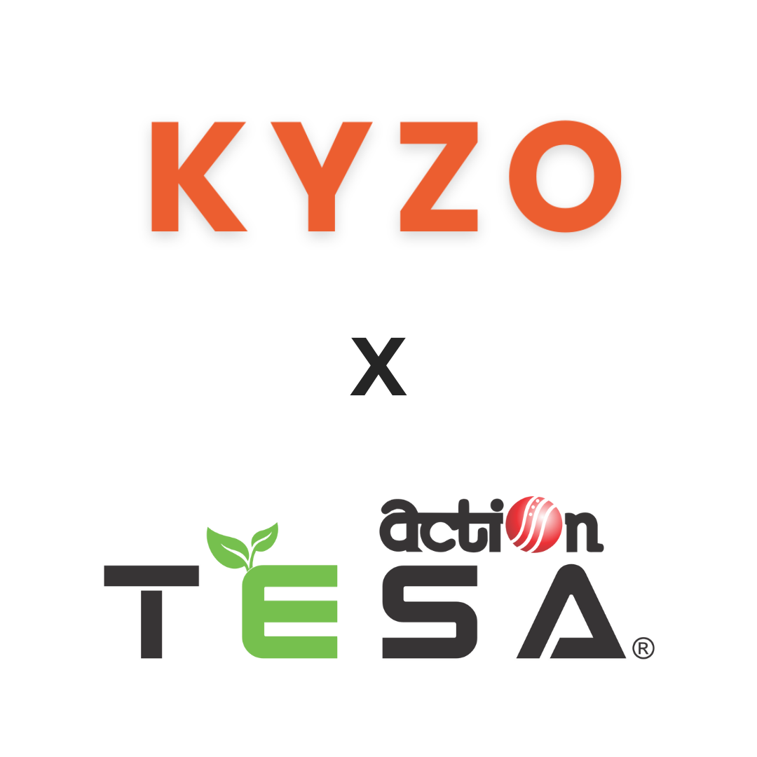 Action Tesa
