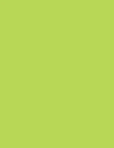 Action Tesa Prelam MDF board-1119-Parrot Green - 8ftx4ft