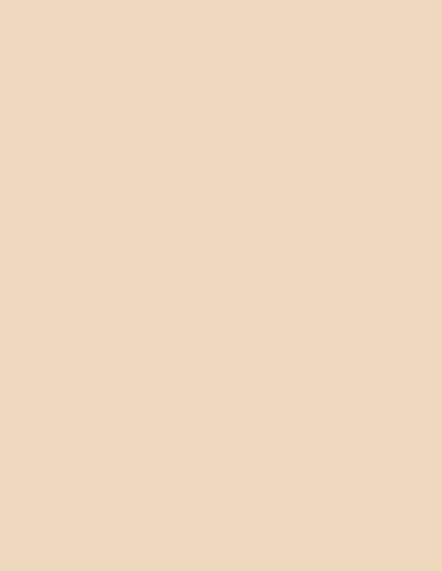 Action Tesa Prelam MDF board-1120-Irish Cream - 8ftx4ft