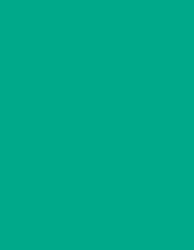 Action Tesa Prelam MDF board-1129-Caribe - 8ftx4ft