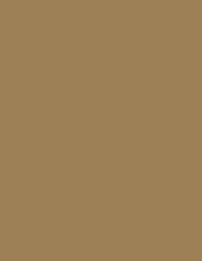 Action Tesa Prelam MDF board-1131-Mud Ash - 8ftx4ft