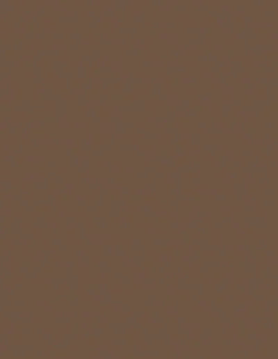 Action Tesa particle board-1134-Mocha Brown - 8ftx6ft