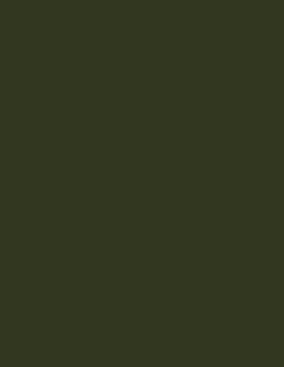Action Tesa particle board-1135-Olive - 8ftx6ft