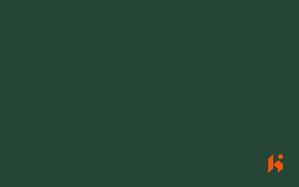 Stylam Laminate - 1156 - Bottle Green