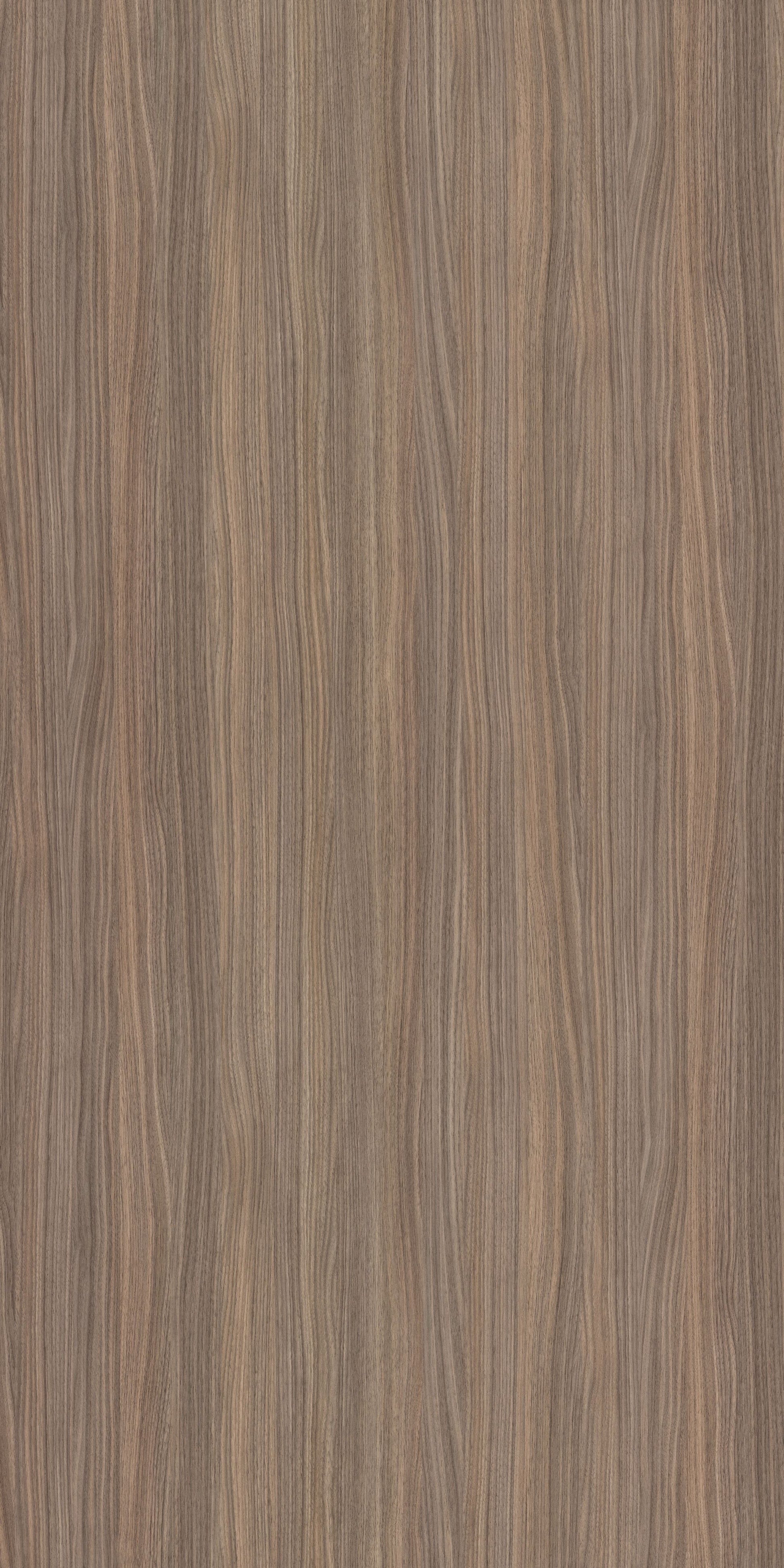 Merino Laminate - 11660 - Nougat Bristling Walnut - 1mm 8ft x 4ft