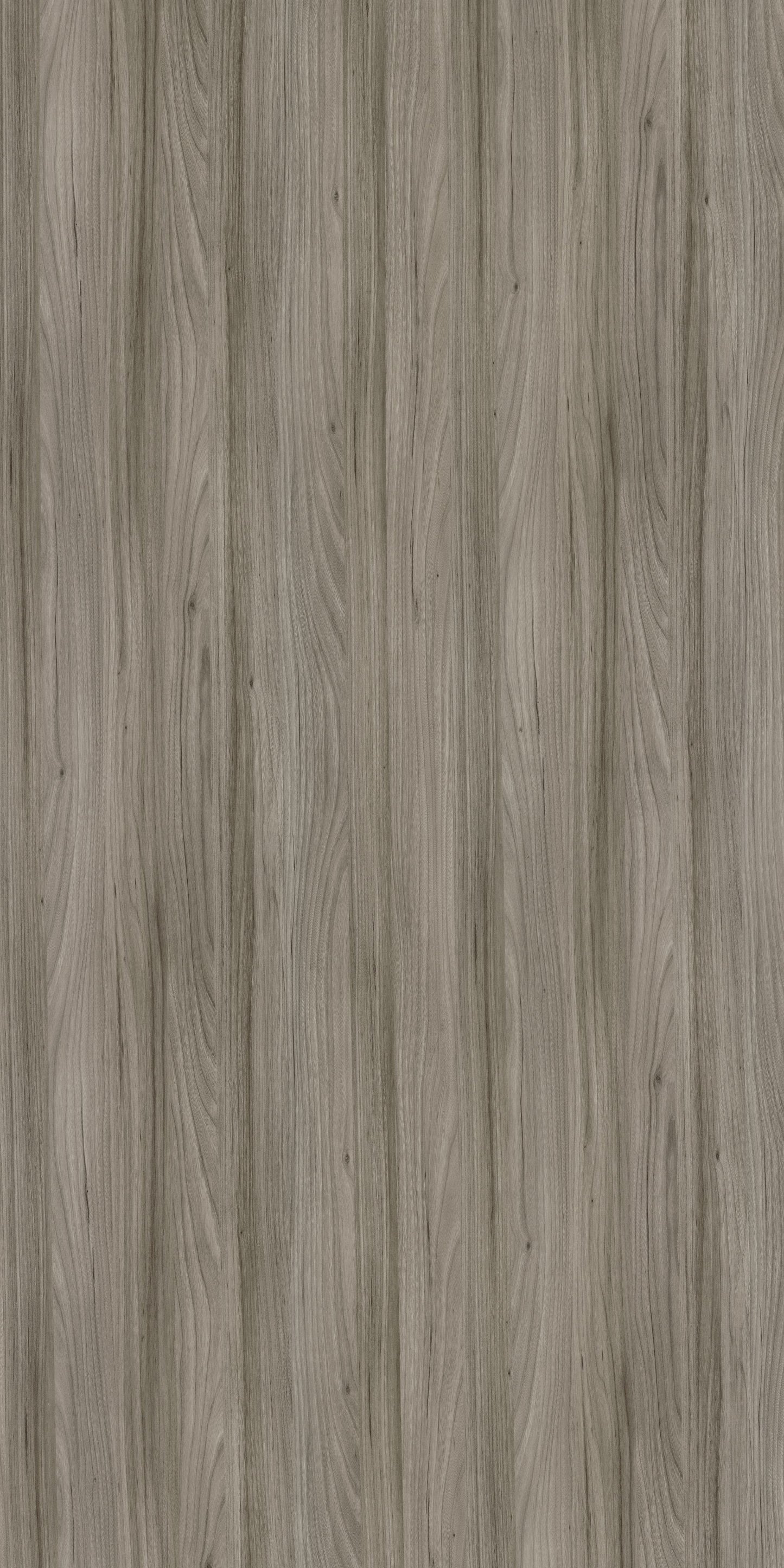 Merino Laminate - 14019 - Dublin Mont Elm - 1mm 8ft x 4ft