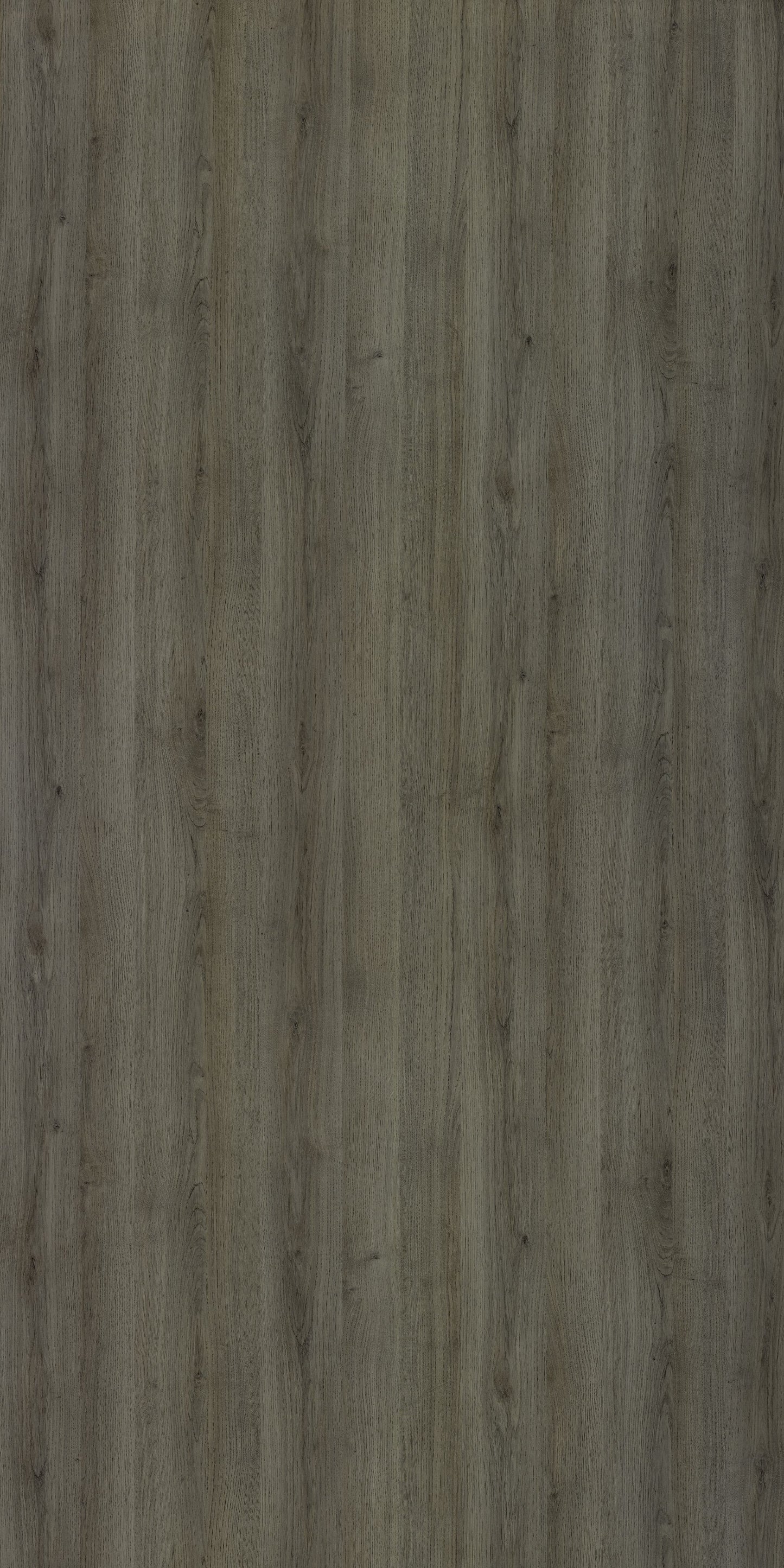 Merino Laminate - 14641 - Laural Oak Wind - 1mm 8ft x 4ft