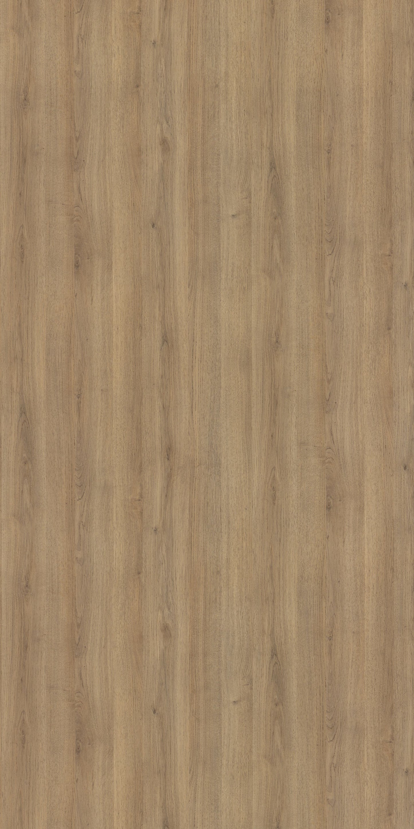 Merino Laminate - 14644 - Laural Oak Whirl - 1mm 8ft x 4ft