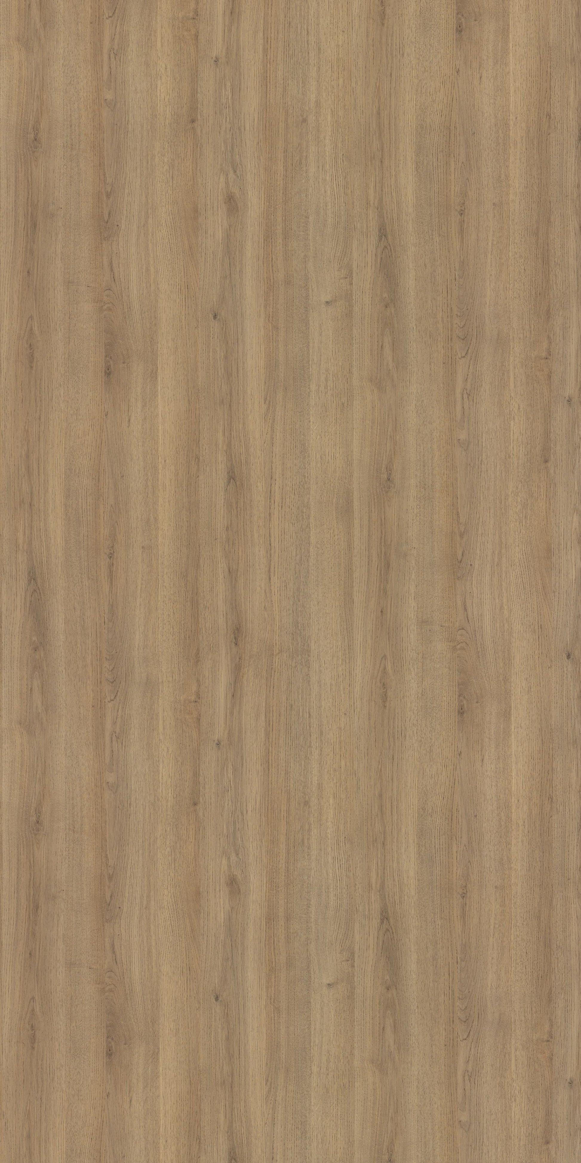 Merino Laminate - 14644 - Laural Oak Whirl - 1mm 8ft x 4ft